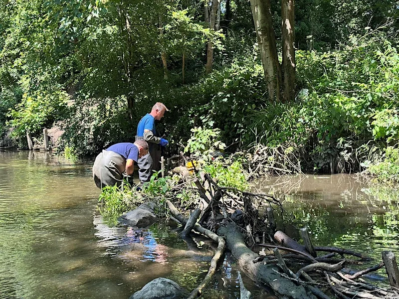 TCV - Crane Park River Deflector Repairs & Himalayan Balsam Removal