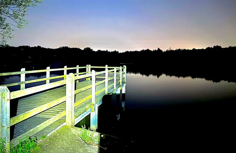 Blackleach Bat Walk