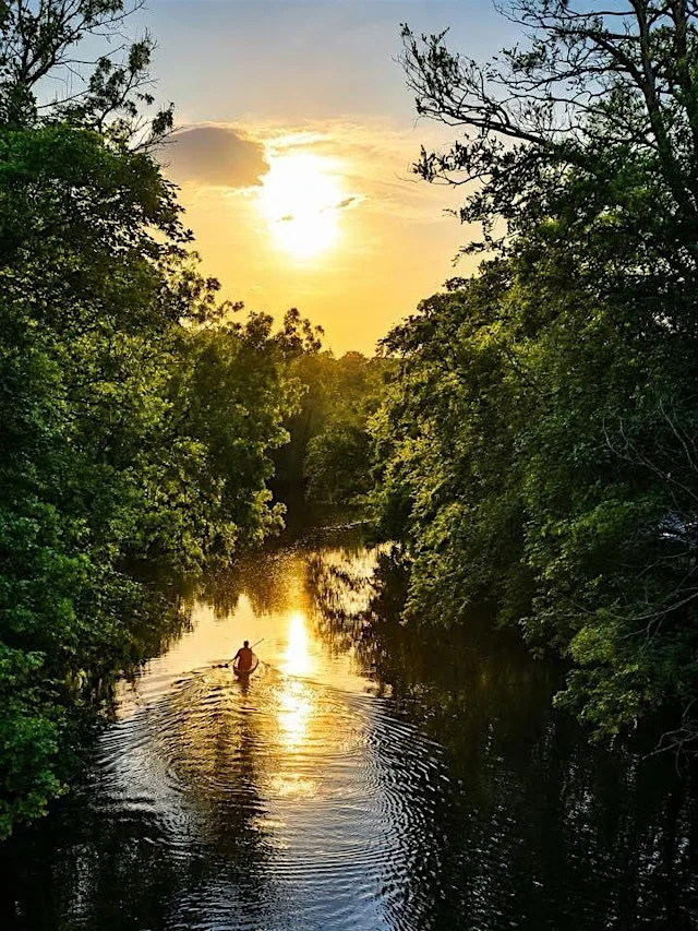 Family Paddleboarding Experience