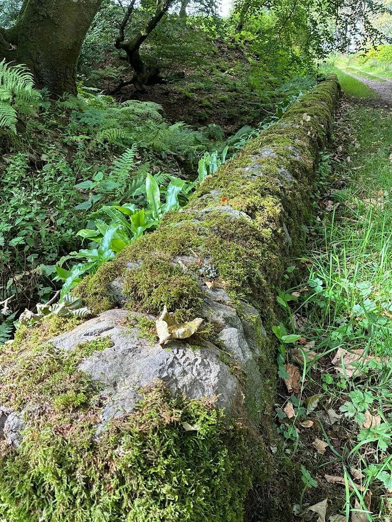 The Kintyre Way - August Walkfest - Clachan Circular