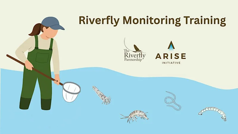 Riverfly Monitoring Initiative Training Day: Ingoldisthorpe, Norfolk