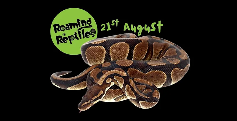 Roaming Reptiles at the Museum of Cider