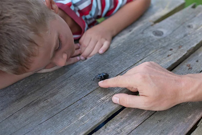 Bugs and Minibeast themed special (Ages 0-18 months)