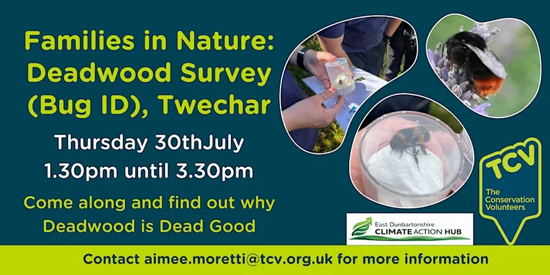 Families in Nature: Deadwood Survey and Bug ID (Twechar)