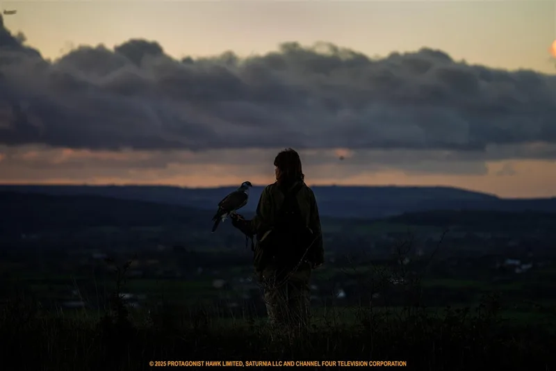 Book to Film Club: H is for Hawk at Southwell Library