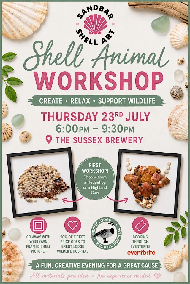 Shell Workshop for Brent Lodge Wildlife Hospital
