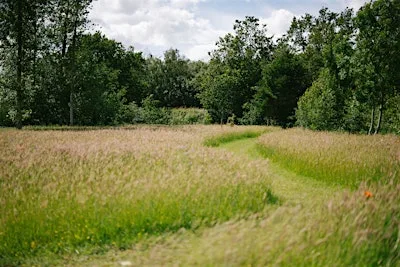 Community Planting Day, Markfield