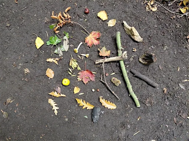 The Creative Woods: from Summer to Autumn at Chorlton Waterpark / TK