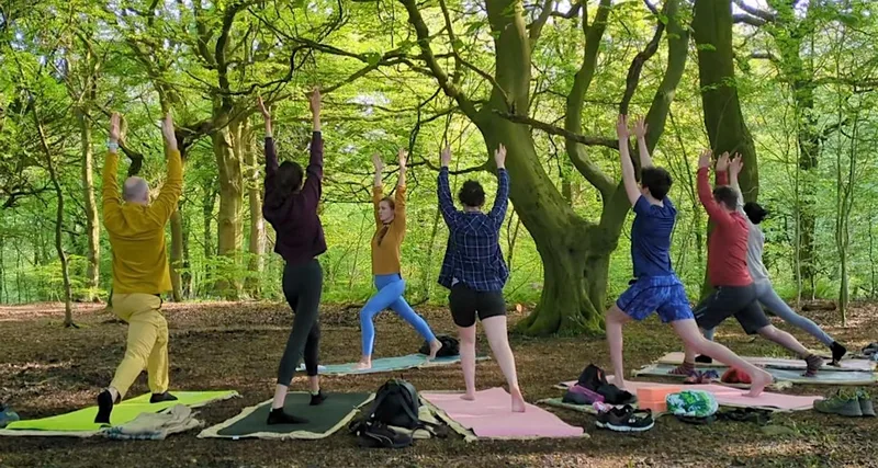 Yoga & Reiki in the Woods