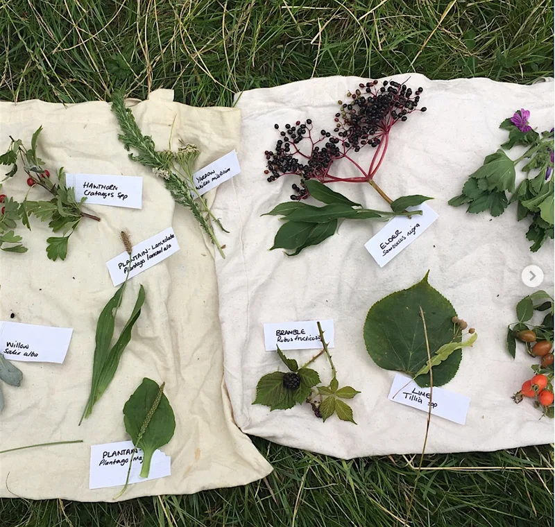Autumn Foraging Course - Heaton Park, Newcastle
