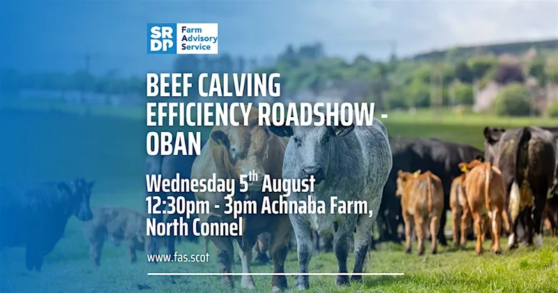 Beef Calving Efficiency Roadshow - Oban