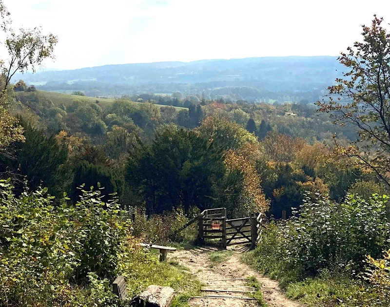 Black Girls Hike x Putting Down Routes: Borough Green to Otford Scenic Hike