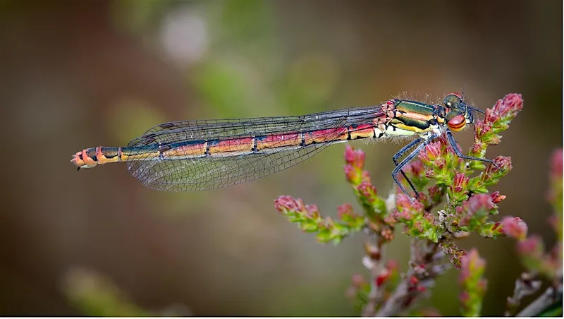 A (Photographic) Journey through Nature
