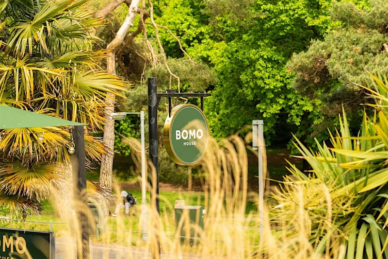 SOL Society at BOMO House | Saturday 29th August