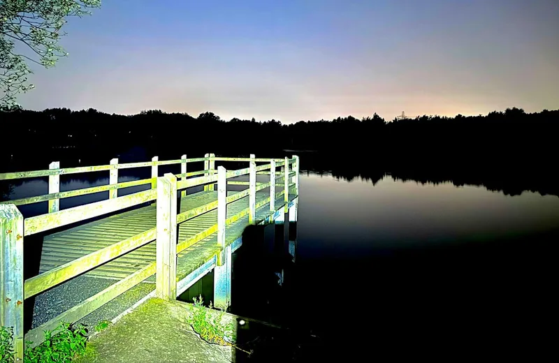 Blackleach Bat Walk