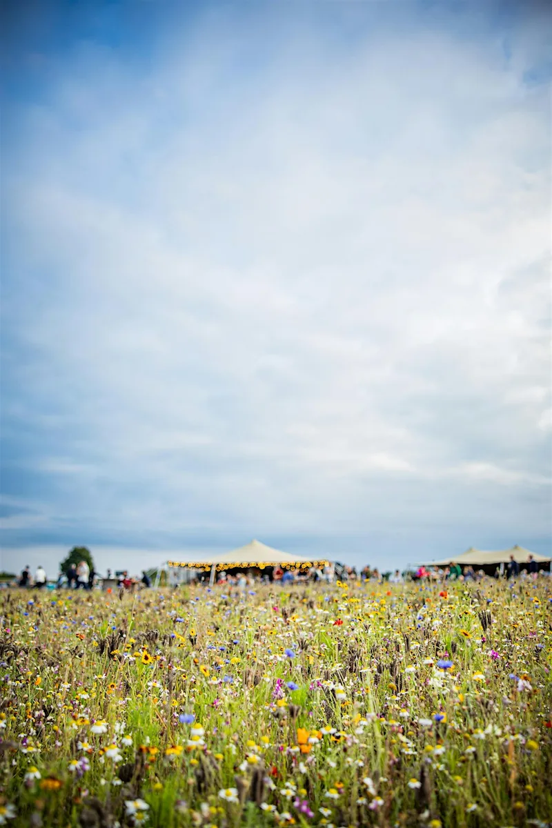 Resounding Wellness North - Sound Bath - The Flower Belt, Harrogate
