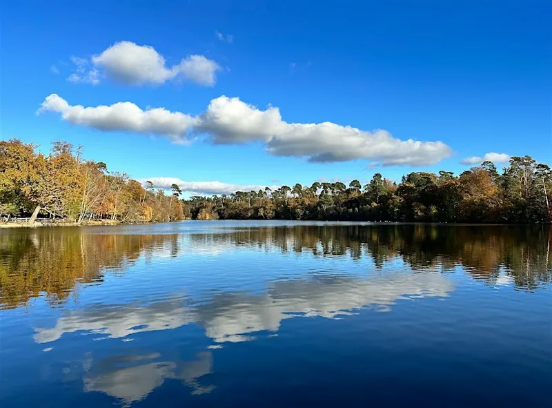 Ease the Overwhelm: A Pregnancy Walk & Talk with Darcey, Private Midwife