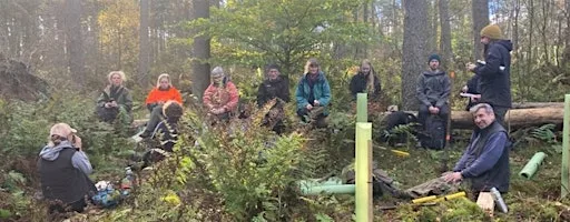 Dronley Community Woodland