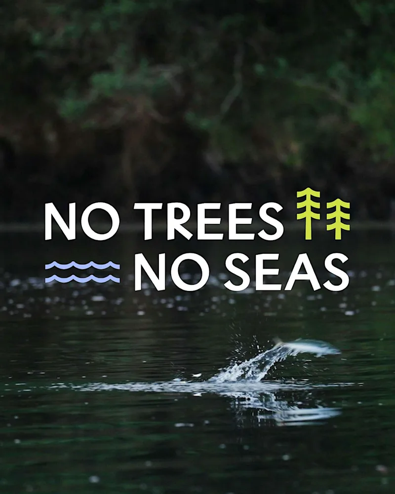 No Trees No Seas Film Screening