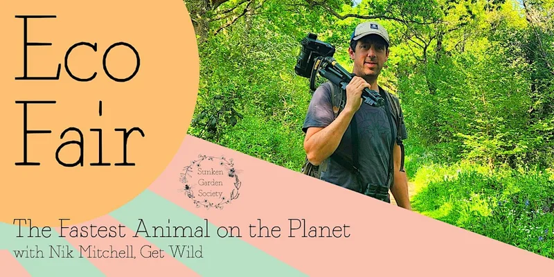 Sunken Garden Eco Fair:The Fastest Animal on the Planet with Nik Mitchell
