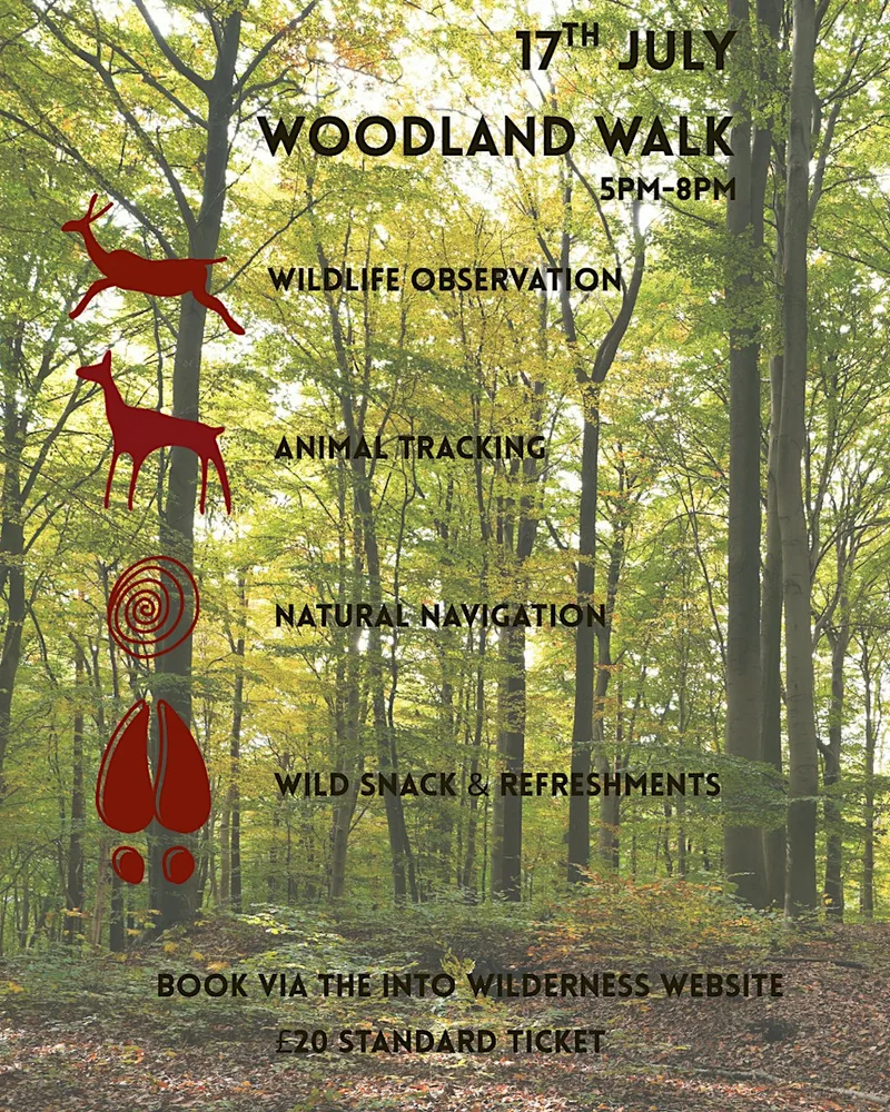 Woodland Walk