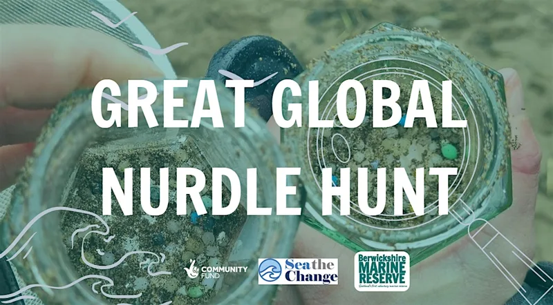 Great Global Nurdle Hunt With Sea The Change- Coldingham Bay