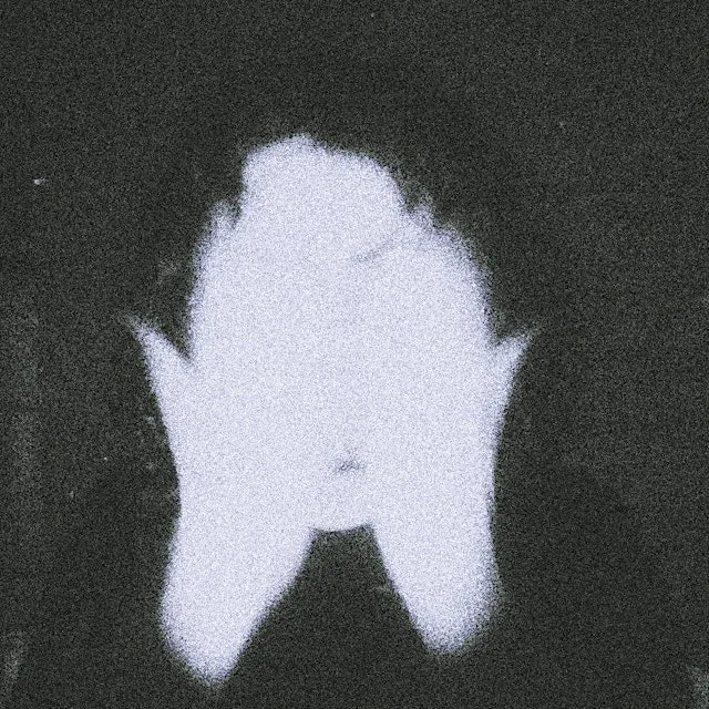 Hourglass + Polymelia