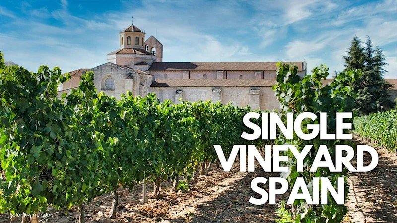 Single Vineyard Spain! Wine Tasting