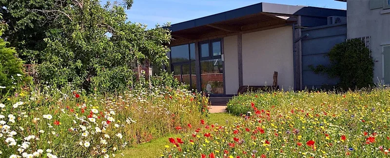 Music day at Hengistbury Head Visitor Centre