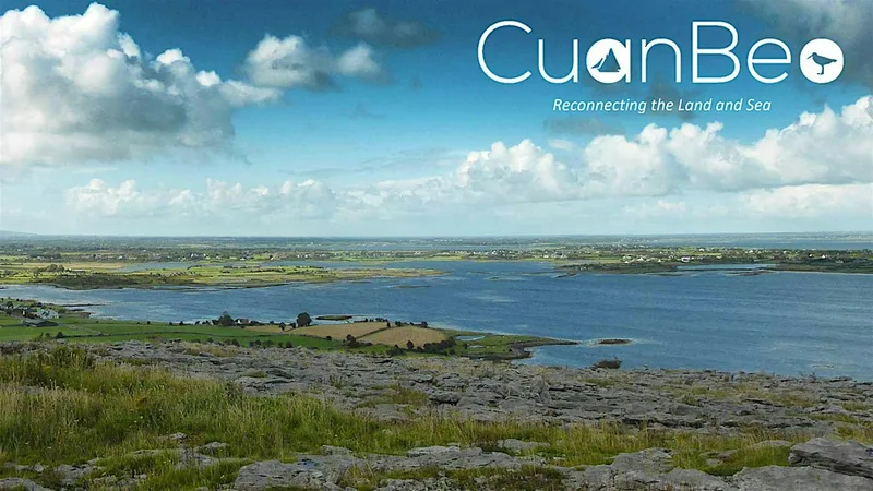 Cuan Beo Oyster Experience