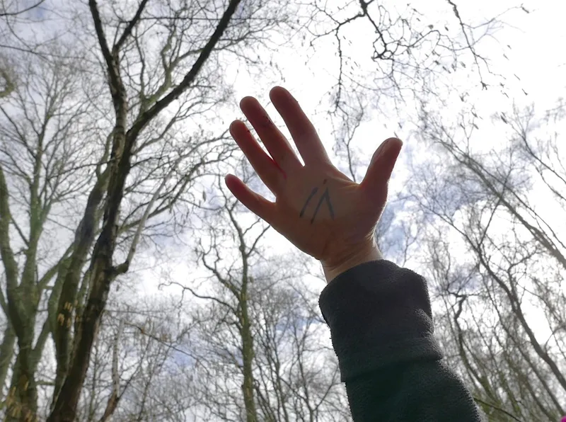 Swanwick Lakes Wildlife Tots: Sun, Wind and Rain!