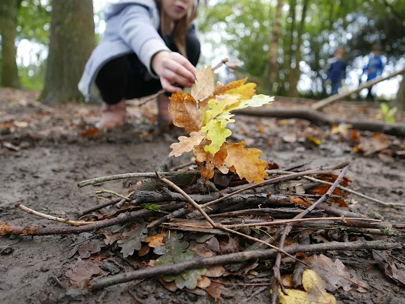 Swanwick Lakes: Forest School for families with 2-5 year olds