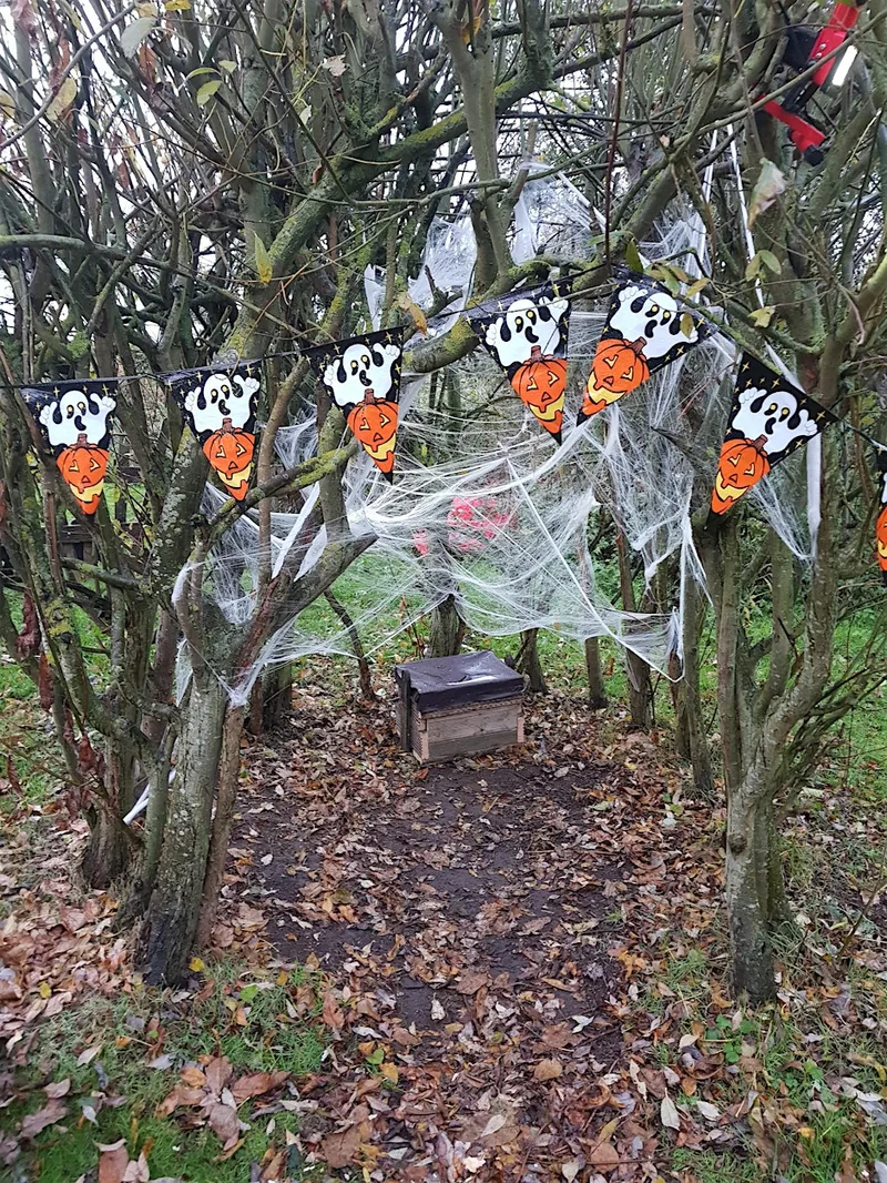 Spooky Masks and Crafts at Ryton Pools Country Park