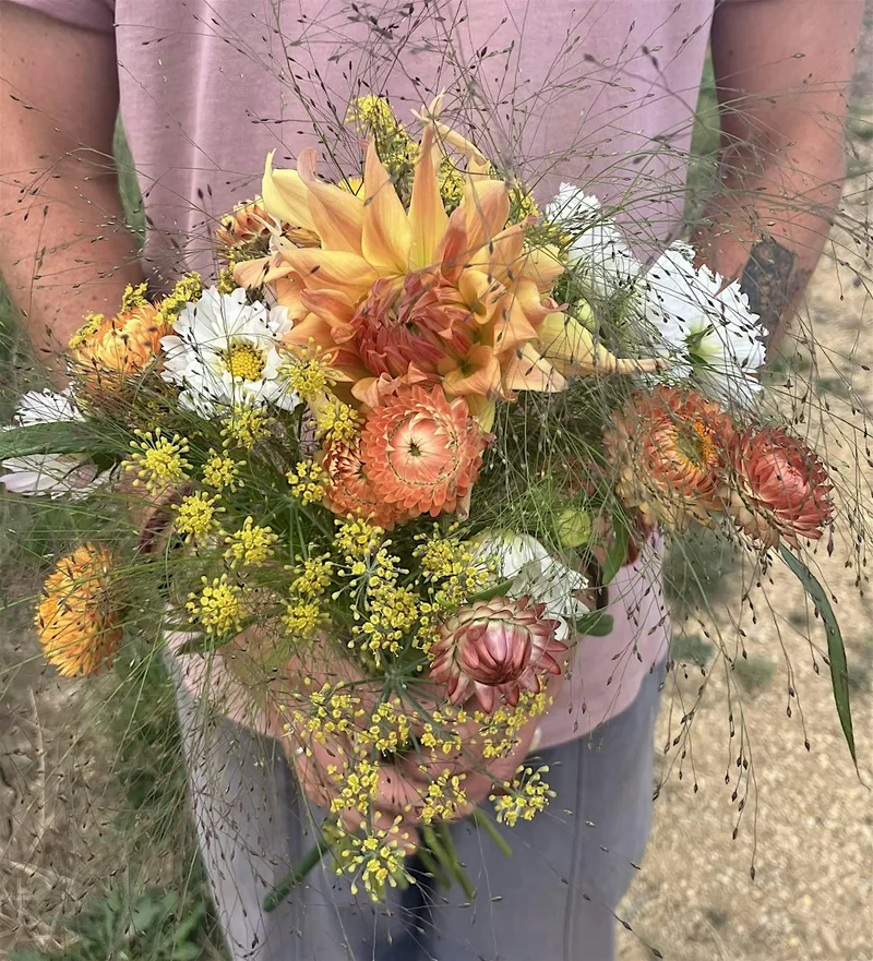 Pick your own flowers
