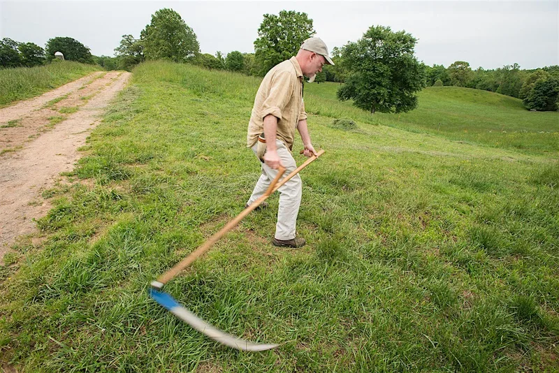 CWNE Scything Workshop in St. Fittick's Park