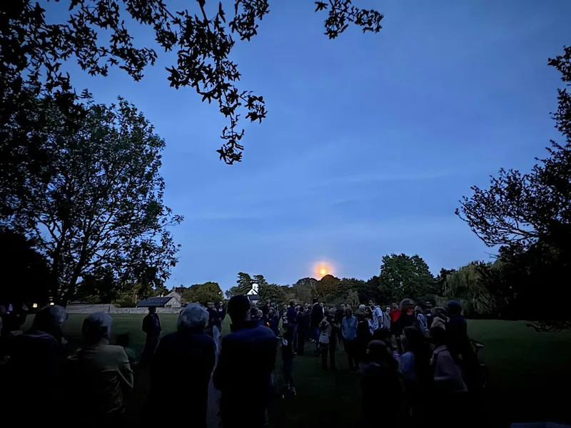 Autumn Bat Walk