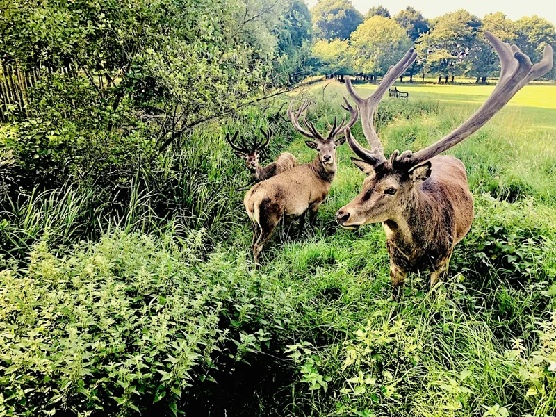 Shipley Country Park to Wollaton Park Cycling loop