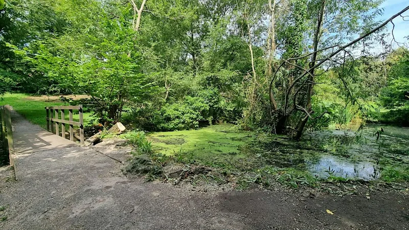 BAT WALK at Magpiebottom Nature Reserve