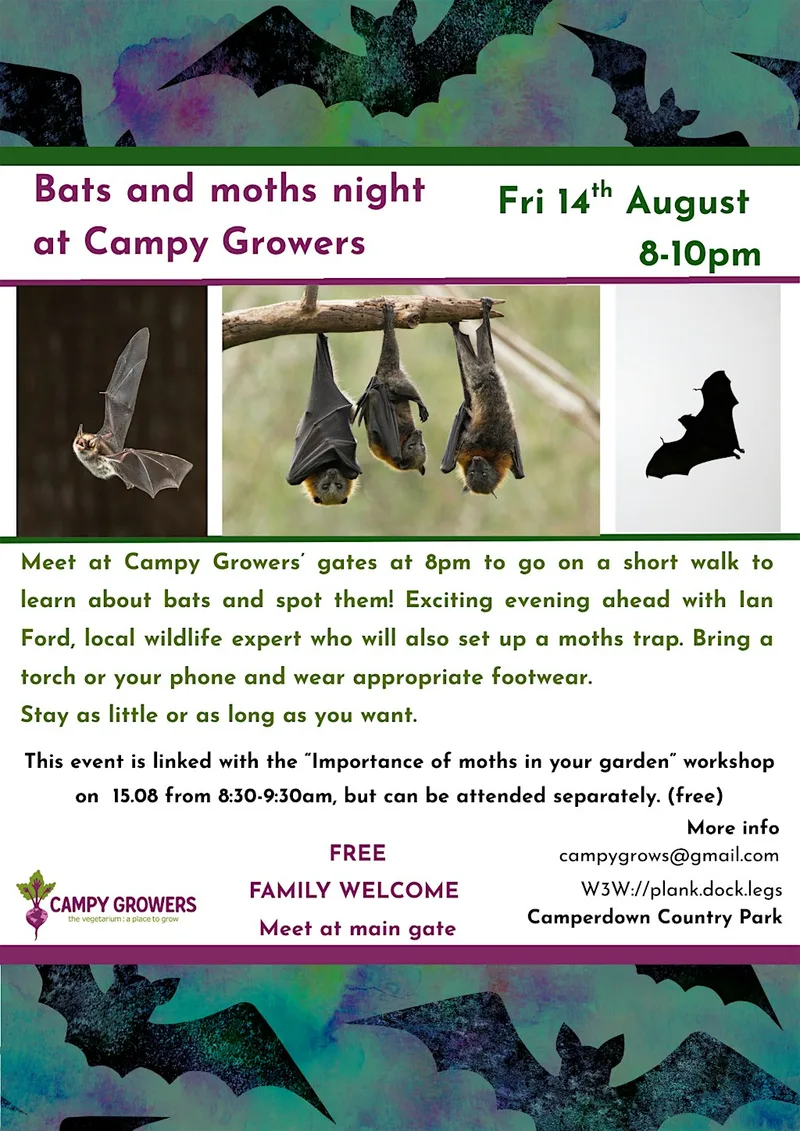 Bats and moths night at Campy Growers