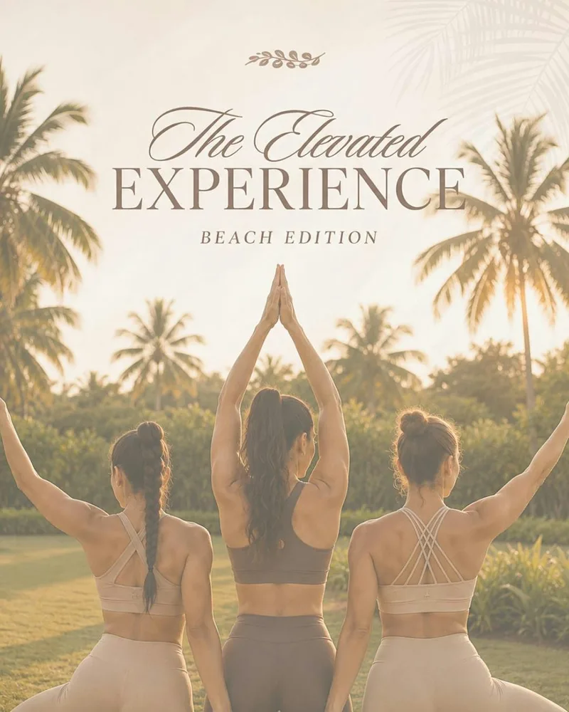 The Elevated EXPERIENCE!