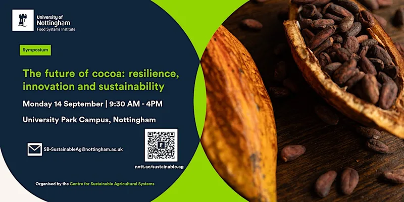 The Future of Cocoa: Resilience, Innovation and Sustainability