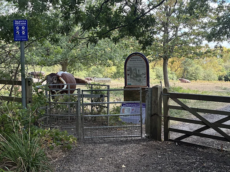 Stanmore wildlife walk and sound bath
