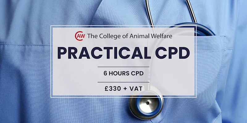 Veterinary Nursing: Haematological Cases - Leeds