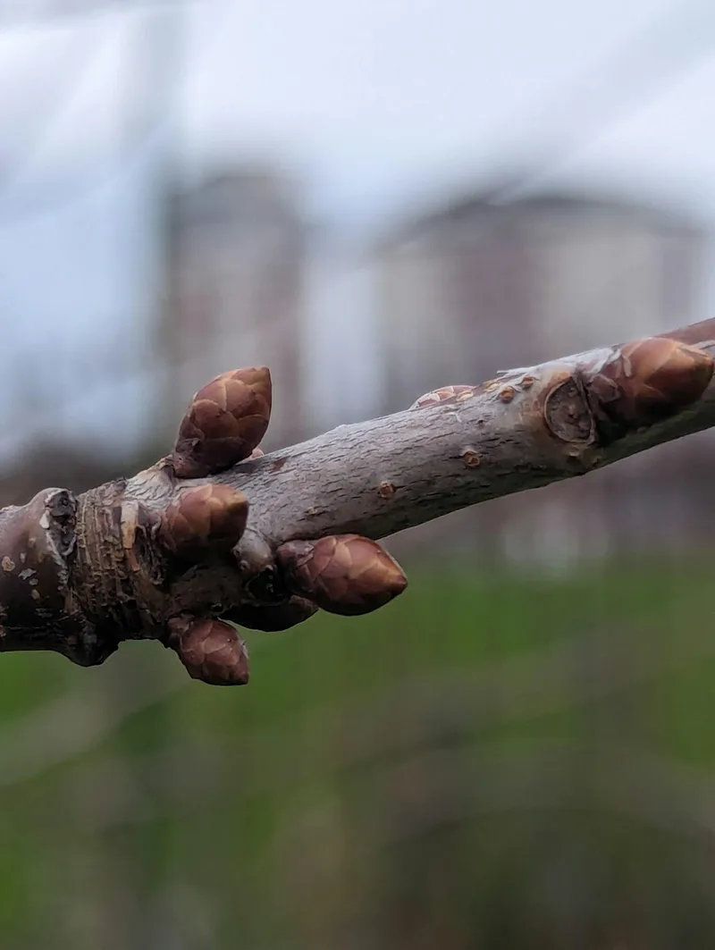 Noticing Nature: Women’s ‘Walkshop’