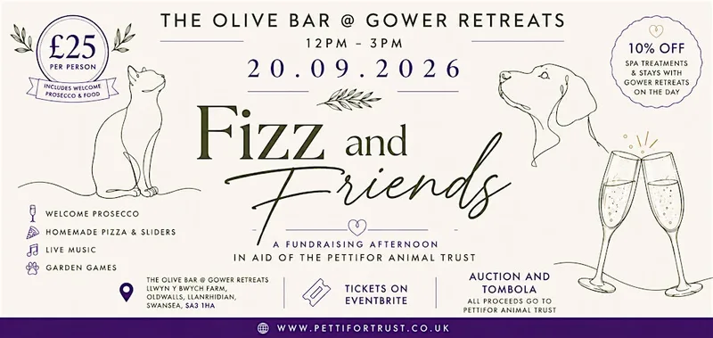 Fizz and Friends