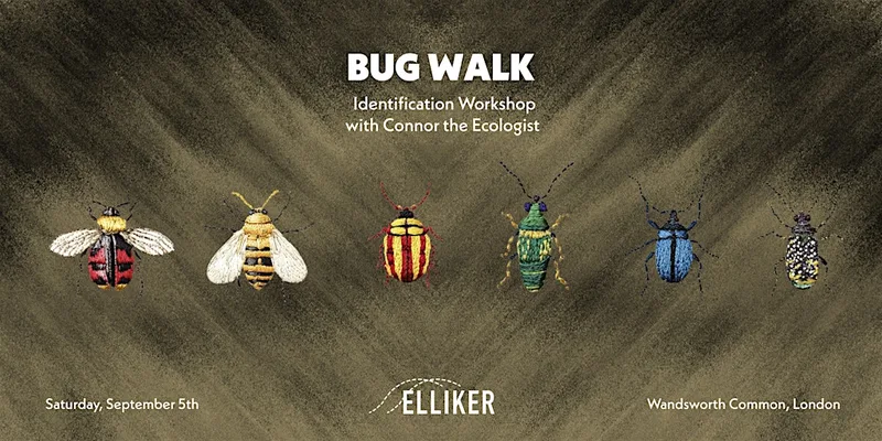 Bug Walk - Identification Workshop with Connor the Ecologist & ELLIKER