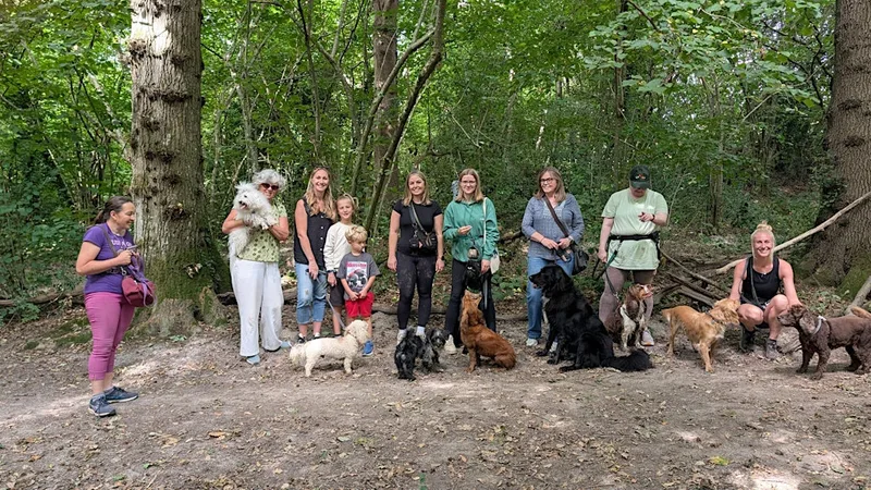 Community group dog walk - Hasting