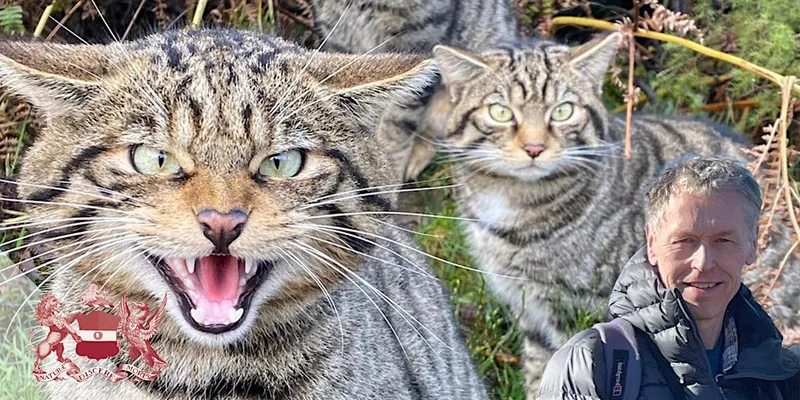 Linnean Edinburgh Lecture | Restoring Nature by Moving Species