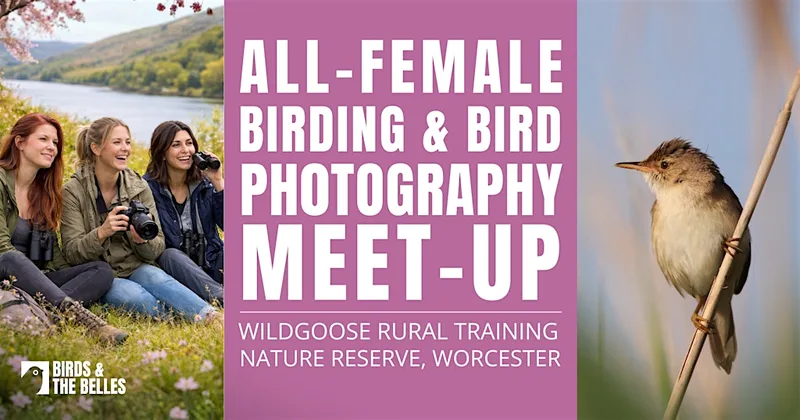 All-Female Bird & Bird Photography Morning