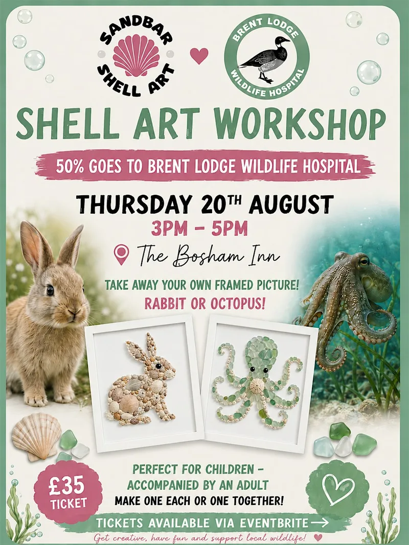 Shell Workshop for Brent Lodge Wildlife Hospital
